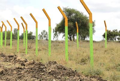 0.125 ac Residential Land at Kitengela - 3