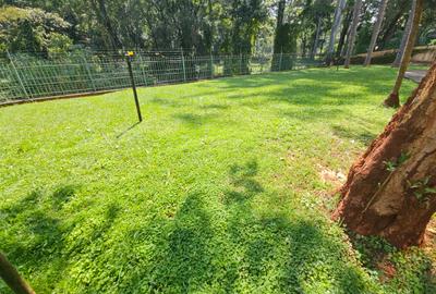 3 Bed Apartment with Swimming Pool at Kileleshwa