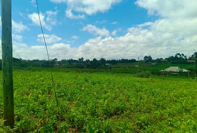 1,000 m² Residential Land in Kamangu