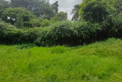 Land in Lavington