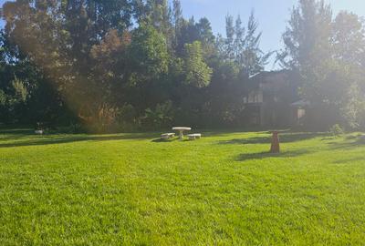 1.25 ac Commercial Property with Backup Generator in Karen - 3