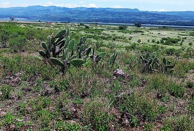 1.999 ac Commercial Land in Gilgil - 4