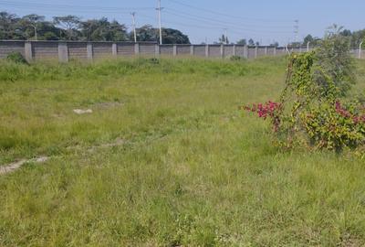 0.2 ac Land in Karen