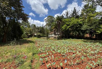 Residential Land in Kyuna - 4