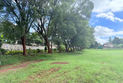 Land in Kitisuru