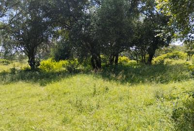 100 ac Land at Thika Road - 2