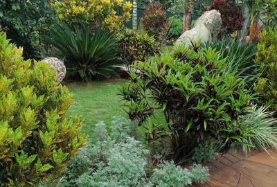 4 Bed House with En Suite in Runda - 3