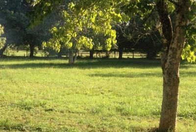 8,093.71 m² Land at Kilifi Bofa - 2