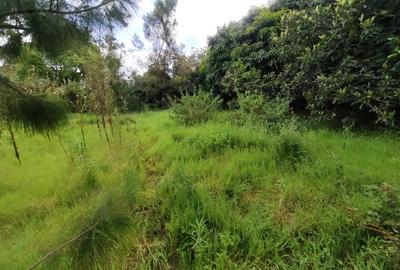 0.5 ac Residential Land in Karen