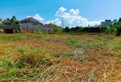 700 m² Residential Land at Green View Estate