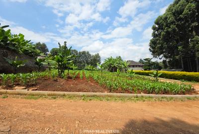 0.45 ac Land at Runda Mushroom