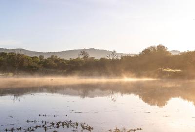 30.3 ac Land at Lolldaiga Valley - 4