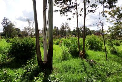 2 ac Land in Garden Estate