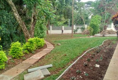 Office with Fibre Internet at Kileleshwa