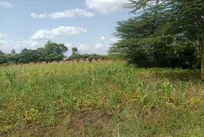 Land at Kiserian
