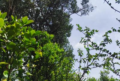 Residential Land at Hardy - 2