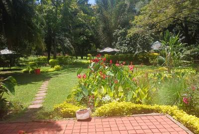 Commercial Property in Lavington