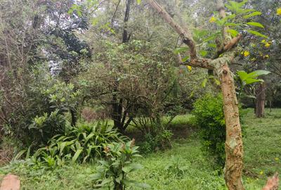 Residential Land in Kitisuru - 3