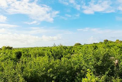 Land at Watamu - 2