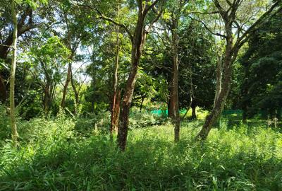 0.5 ac Land at Mwitu