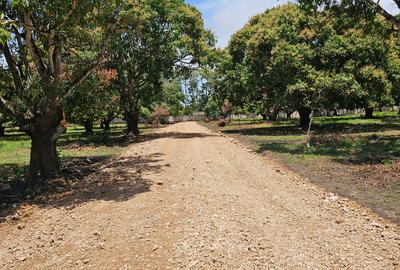 10,000 ft² Land at Kikambala