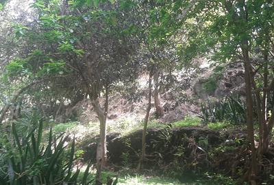 0.75 ac Residential Land at Naivasha Road - 3