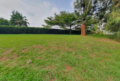 5 Bed House with En Suite at Nyari - 4