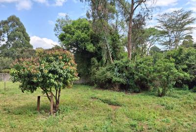 0.5 ac Residential Land at Nandi Road - 4