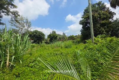 0.5 ac Land at Muthithi Gardens - 3