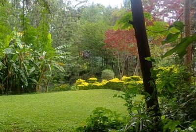 5 Bed House in Lavington - 2