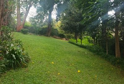Commercial Land in Riverside - 4