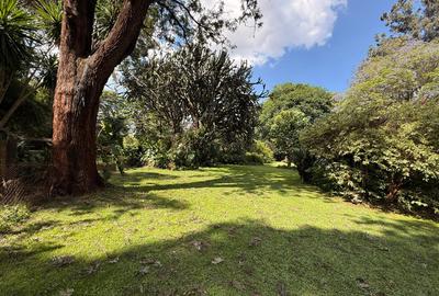 2.5 ac Land in Ridgeways - 2