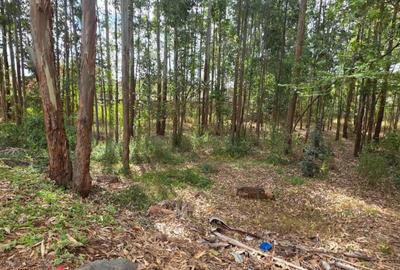 0.5 ac Land in Ridgeways