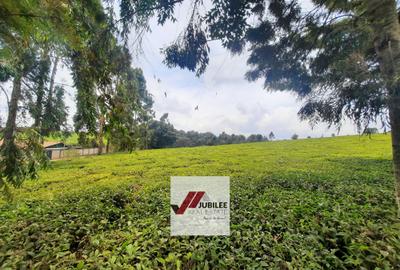 12.5 ac Land in Tigoni