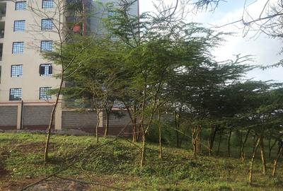 0.25 ac Commercial Land in Ongata Rongai - 3