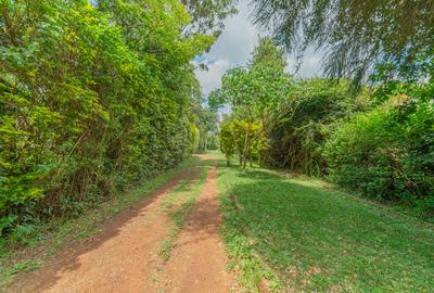 1 ac Land at Ushirika Road - 4