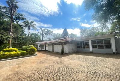 Commercial Property with Fibre Internet at Lavington