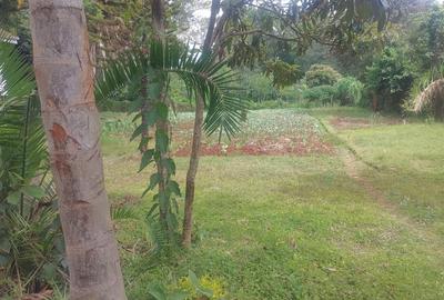 Residential Land in Kyuna - 3