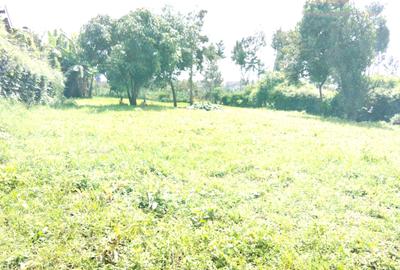 Commercial Land in Kinoo