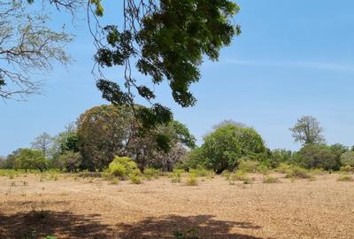 75 ac Land at Vipingo