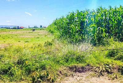 Land at Greensteads - 3