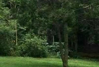 2.6 ac Land at Windy Ridge