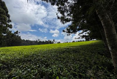 0.5 ac Land in Redhill - 2