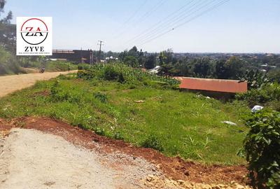 0.25 ac Land at Rwaka