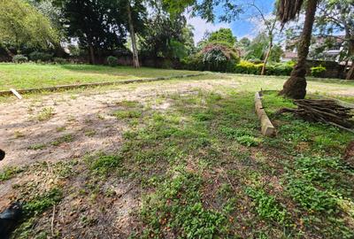 1 ac Commercial Land in Lavington