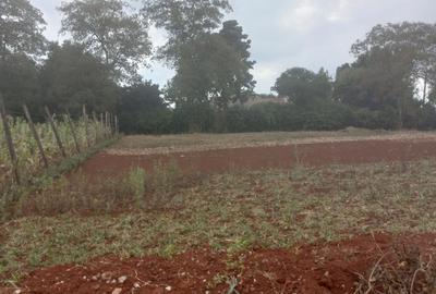 0.25 ac Residential Land in Waithaka