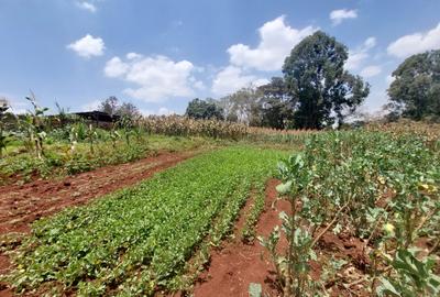 Residential Land at Kinanda Road