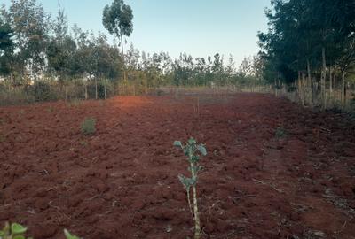 0.25 ac Residential Land at Kibiko - Ngong