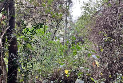 Commercial Land at Karen