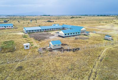 0.114 ac Land at Joska - 4